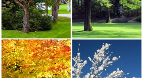 Why We Call the Seasons Summer, Autumn, Winter, and Spring