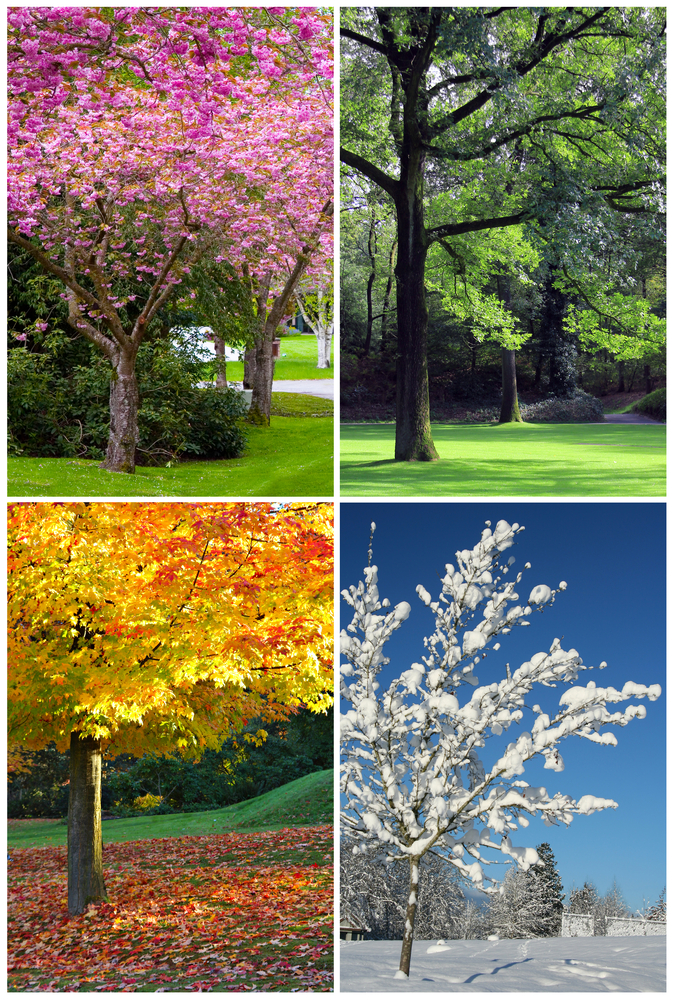 Why We Call the Seasons Summer, Autumn, Winter, and Spring