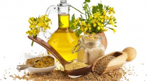 Why Mustard is Yellow