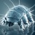 The Amazing Tardigrade- The Toughest Known Creature on Earth and Beyond