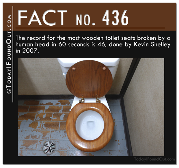 TIFO Quick Fact-The record for the most wooden toilet seats broken by a human head in 60 seconds is 46, done by Kevin Shelley in 2007.