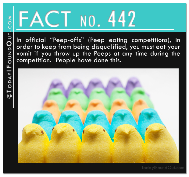 TIFO Quick Fact-In official Peep-offs Peep eating competitions, in order to keep from being disqualified, you must eat your vomit if you throw up the Peeps at any time during the competition.  People have done this