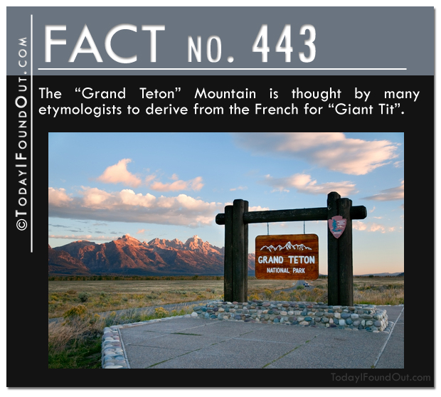 TIFO Quick Fact-The Grand Teton Mountain is thought by many etymologists to derive from the French for Giant Tit