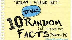 10 Totally Random Facts (Part-4)