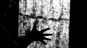 The Curious Case of Alien Hand Syndrome