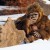 The Origin of the Bigfoot Legend