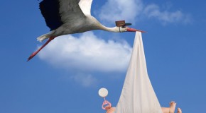 Why Storks are Associated with Delivering Babies