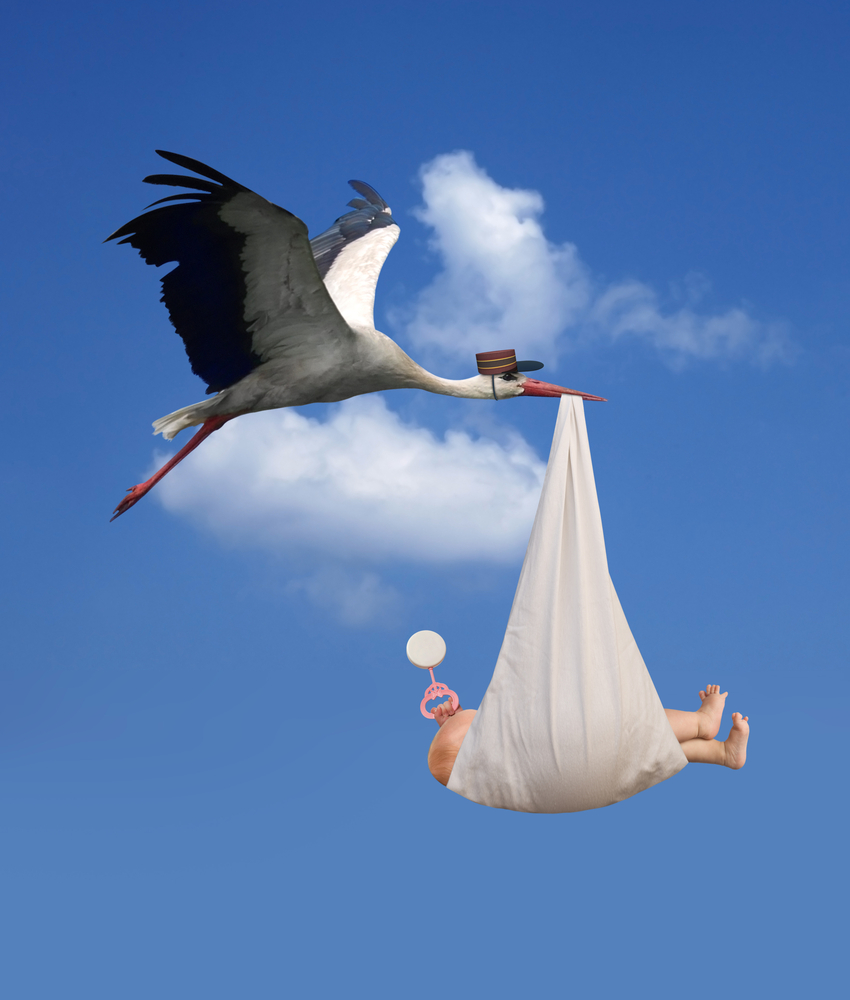 baby carried by stork