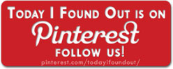 Follow on Pinterest