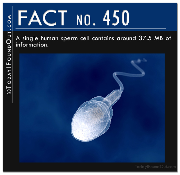 Sperm cell blowout