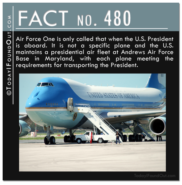 TIFO Quick Fact 480