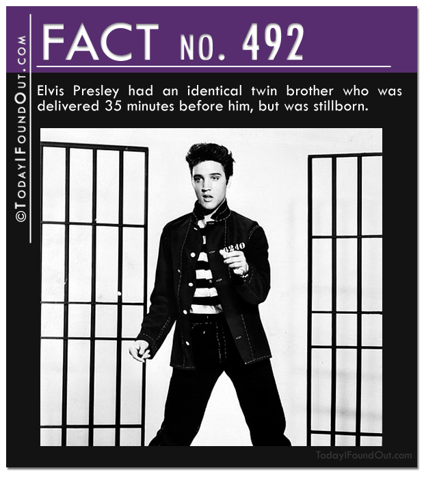 TIFO Quick Fact 492
