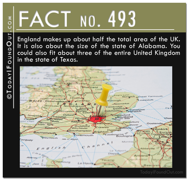 TIFO Quick Fact 493