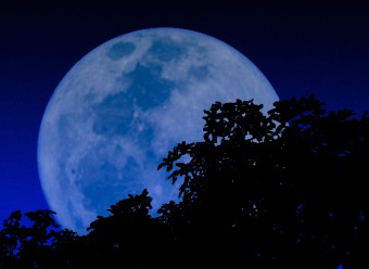 blue-moon