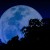 The Origin of the Phrase “Once in a Blue Moon”