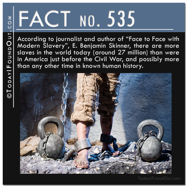 TIFO-Quick-Fact-535