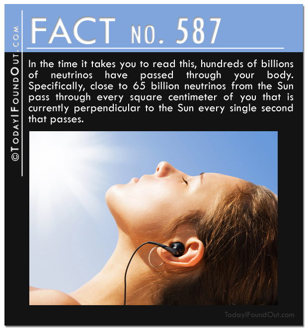 TIFO Quick Fact 587