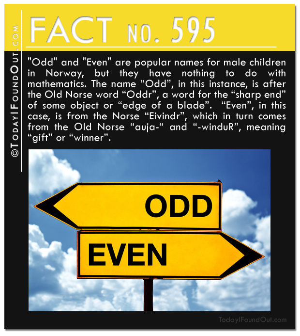 TIFO Quick Fact 595