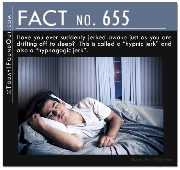 TIFO Quick Fact 655