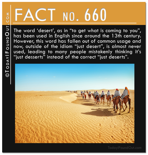 TIFO Quick Fact 660