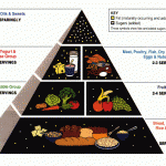 USDA_Food_Pyramid