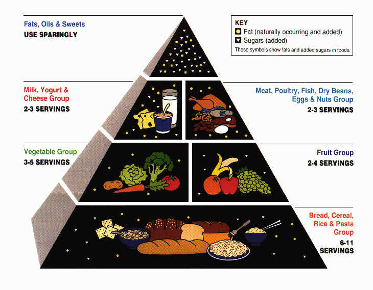 The Origin of the Food Pyramid and Why You Shouldn’t Follow the USDA 