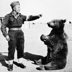 Wojtek