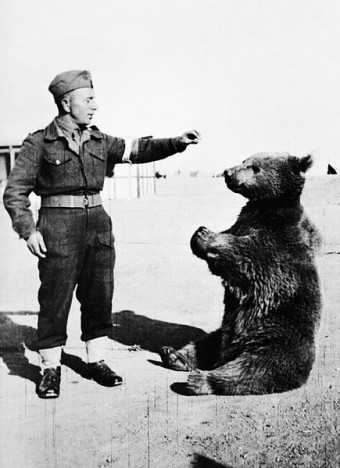 Wojtek