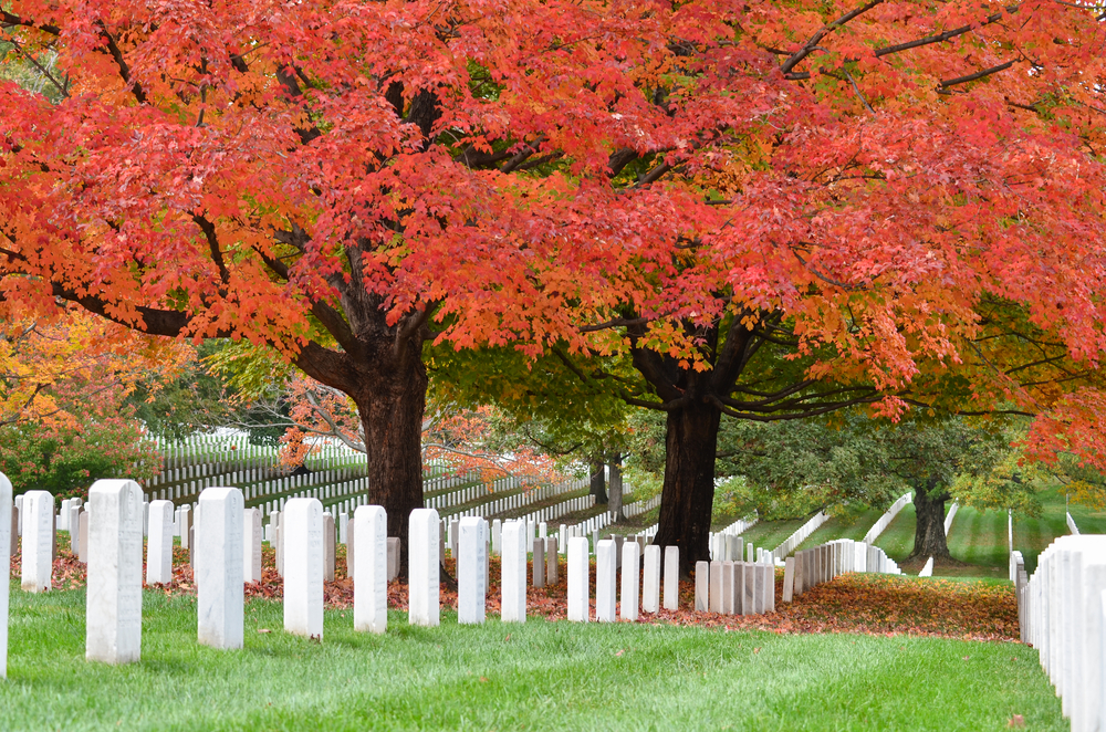 Why Do They Use 21 Guns in the 21 Gun Salute?