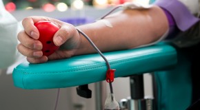 How Blood Works and the Difference Between Blood Types