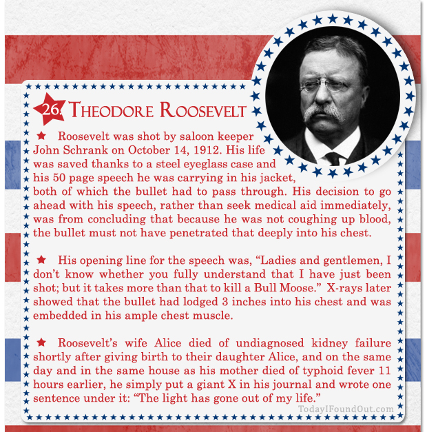 100+ Facts About US Presidents 26- Theodore Roosevelt