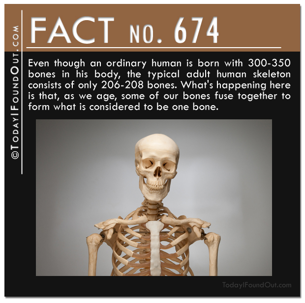 TIFO Quick Fact 674