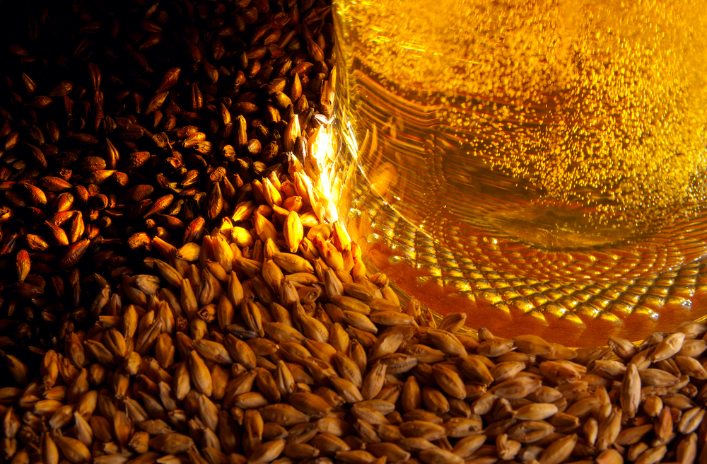 What Exactly is Malt?