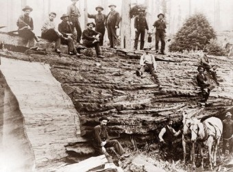 jumping-lumberjacks