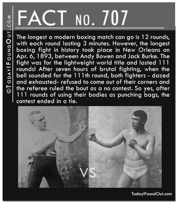 The Longest Boxing Match