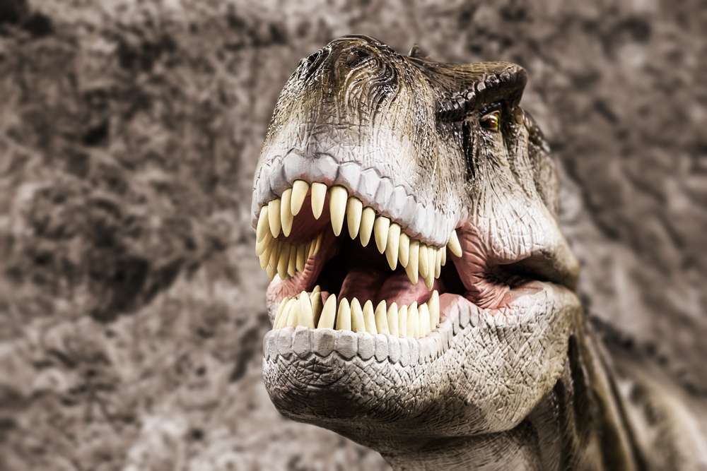 What Dinosaur Would the Tyrannosaurus Rex Have Been Afraid of?