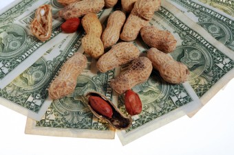 paying-in-peanuts