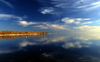 Salton_Sea