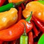 hot-peppers-e1282308271117