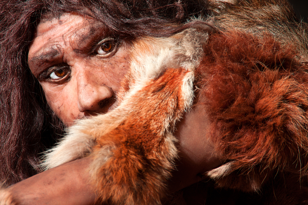 Where Did All the Neanderthals Go?