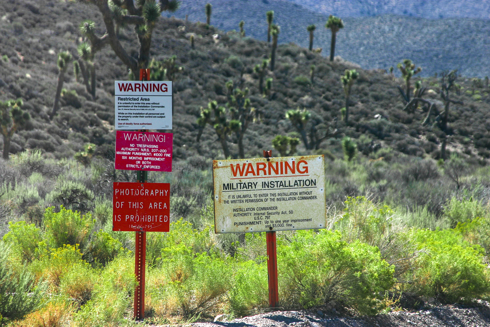Timeline: How the Area 51 Facebook Event Went From Joke to a Threat
