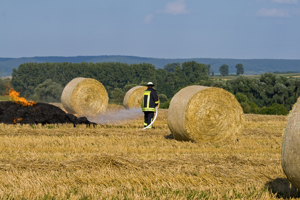 Why Does Moist Baled And Stacked Hay Spontaneously Catch Fire