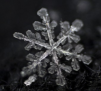 snowflake