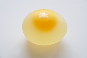 egg-without-shell