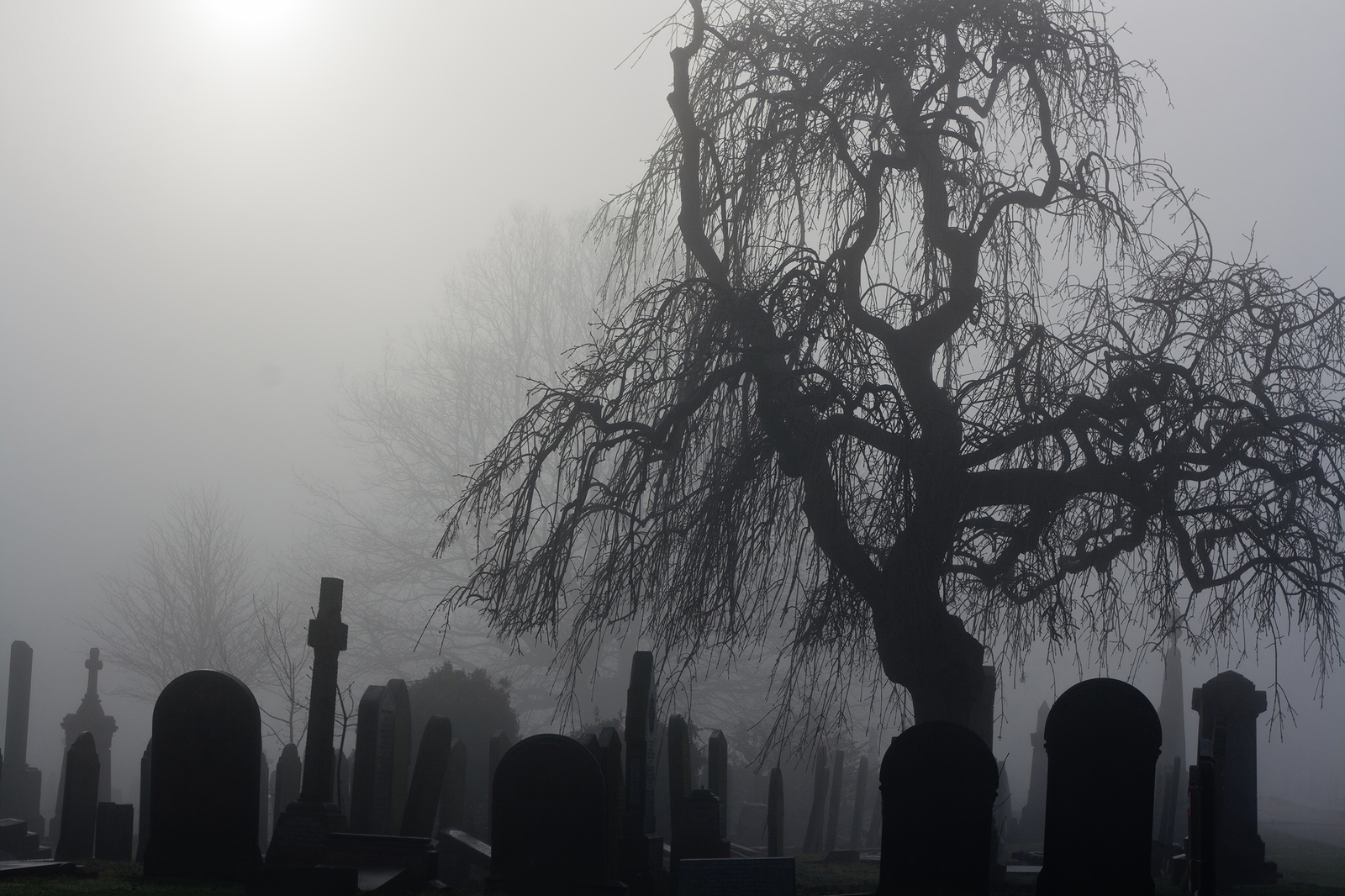 What are the legal steps for opening a cemetery?