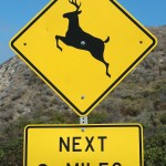 deer-crossing