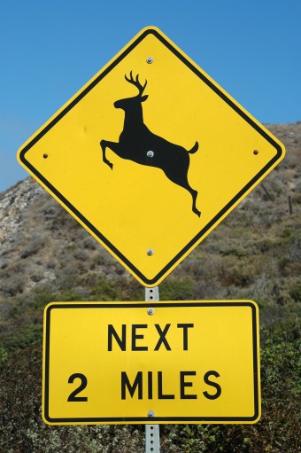 deer-crossing