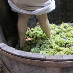 woman-pressing-grapes