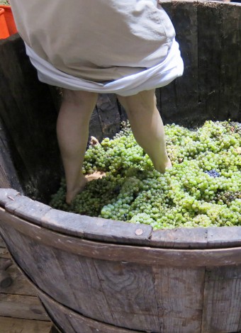 woman-pressing-grapes