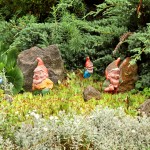 garden-gnome